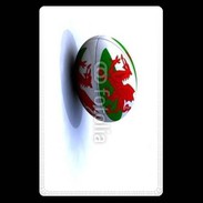 Etui carte bancaire Ballon de rugby Pays de Galles