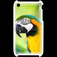 Coque iPhone 3G / 3GS Perroquet