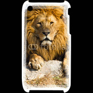 Coque iPhone 3G / 3GS Tête de lion