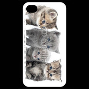 Coque iPhone 4 / iPhone 4S Groupe de chatons