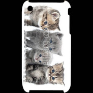 Coque iPhone 3G / 3GS Groupe de chatons