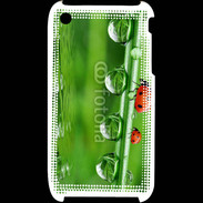 Coque iPhone 3G / 3GS Coccinelle