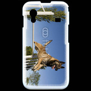 Coque Samsung ACE S5830 Chien agility