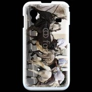Coque Samsung ACE S5830 Abrivado Chevaux et taureaux