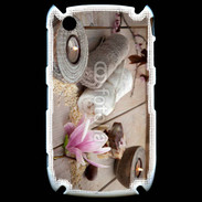 Coque Black Berry 8520 Bien être spas
