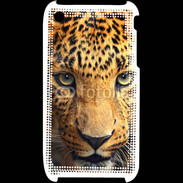 Coque iPhone 3G / 3GS Léopard