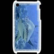 Coque iPhone 3G / 3GS Requin blanc