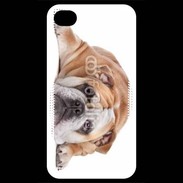 Coque iPhone 4 / iPhone 4S Bulldog anglais 2