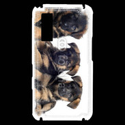 Coque Samsung Player One Chiots Berger Allemand