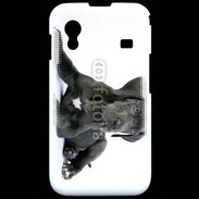 Coque Samsung ACE S5830 Dogue allemand noir