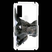 Coque Samsung Player One Dogue allemand noir