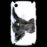 Coque Black Berry 8520 Dogue allemand noir