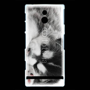 Coque Sony Xperia P Chiot Husky