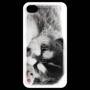 Coque iPhone 4 / iPhone 4S Chiot Husky