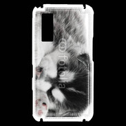 Coque Samsung Player One Chiot Husky