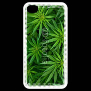 Coque iPhone 4 / iPhone 4S Feuilles de marijuana