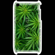 Coque iPhone 3G / 3GS Feuilles de marijuana