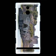 Coque Sony Xperia U Pont d'avignon