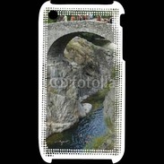 Coque iPhone 3G / 3GS Pont médiéval sur l'Ardèche