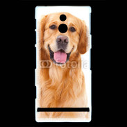 Coque Sony Xperia U Chien Golden
