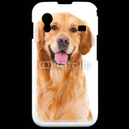 Coque Samsung ACE S5830 Chien Golden