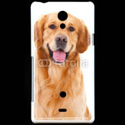 Coque Sony Xperia T Chien Golden
