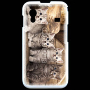 Coque Samsung ACE S5830 Chaton gris 2