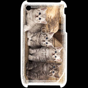 Coque iPhone 3G / 3GS Chaton gris 2