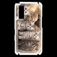 Coque Samsung Player One Chaton gris 2