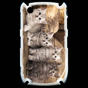 Coque Black Berry 8520 Chaton gris 2