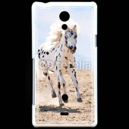 Coque Sony Xperia T Cheval Appaloosa