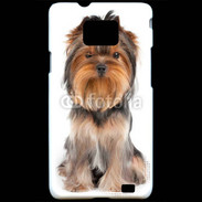 Coque Samsung Galaxy S2 Yorkshire Terrier