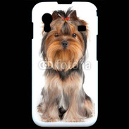 Coque Samsung ACE S5830 Yorkshire Terrier