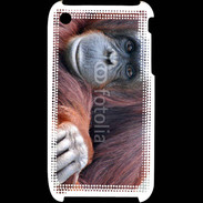 Coque iPhone 3G / 3GS Singe adulte 