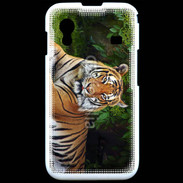 Coque Samsung ACE S5830 Tigre de Sumatra