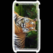 Coque iPhone 3G / 3GS Tigre de Sumatra