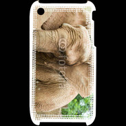 Coque iPhone 3G / 3GS Elephant d'Afrique