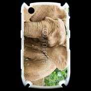Coque Black Berry 8520 Elephant d'Afrique