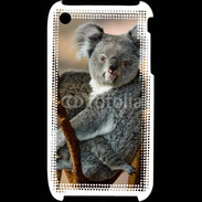 Coque iPhone 3G / 3GS Koala