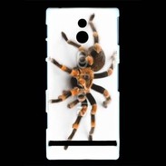 Coque Sony Xperia U Araignée tarentule