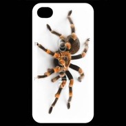 Coque iPhone 4 / iPhone 4S Araignée tarentule
