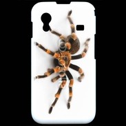 Coque Samsung ACE S5830 Araignée tarentule