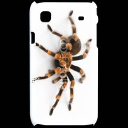 Coque Samsung Galaxy S Araignée tarentule