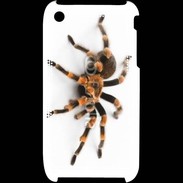 Coque iPhone 3G / 3GS Araignée tarentule