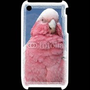 Coque iPhone 3G / 3GS Perroquet rose