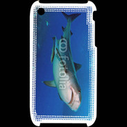Coque iPhone 3G / 3GS Requin tigre