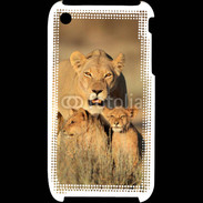 Coque iPhone 3G / 3GS Lionne et ses petits
