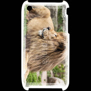 Coque iPhone 3G / 3GS Lion 2