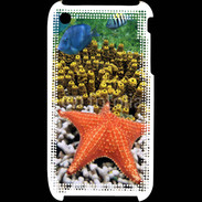Coque iPhone 3G / 3GS Etoile de mer