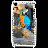 Coque iPhone 3G / 3GS Macaw 1